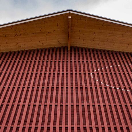 Gebr. Eisenring AG, 4-0172, Fassade, nord. Fichte, Rhomboid- und Wechselfalzschalung 21/115, sägeroh, Schlammfarbe Mentha Walther