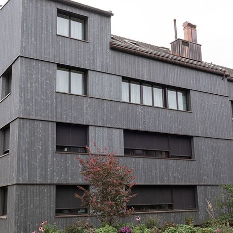 Gebr. Eisenring AG, 5-0194, Fassade, nord. Fichte, Sichtnut 26/88 und 26/125, sägeroh und strukturfein, colorshield vorvergraut mica 060