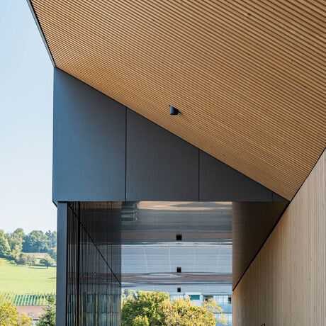 Gebr. Eisenring AG, 5-0293, Fassade, Weisstanne, Akustik 80/80, gehobelt, colorshield impralan Lasur T400, Farbton Sand