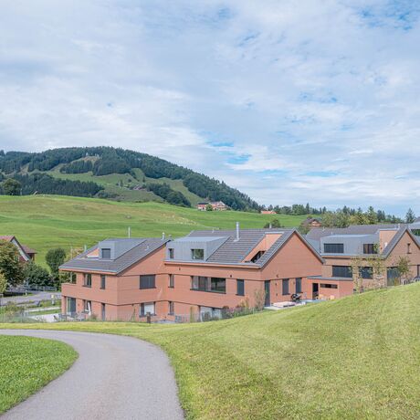 Gebr. Eisenring AG, 4-0201, Fassade, nord. Fichte, Rhomboid Nut + Kamm 20/75, strukturfein, Lignovit Lasur