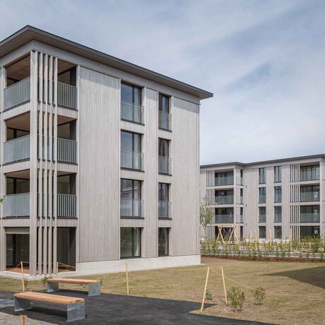 Gebr. Eisenring AG, 5-0119, Fassade, Tanne, Latten 40/58, strukturfein, Perlmutt 10