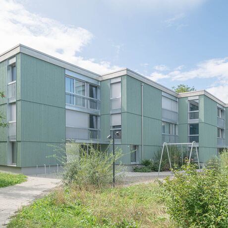 Gebr. Eisenring AG, 5-0318, Fassade, nord. Fichte, Sichtnut 21/110, sägeroh, Schlammfarbe Farbton NCS S 4010-G10Y Art. 649