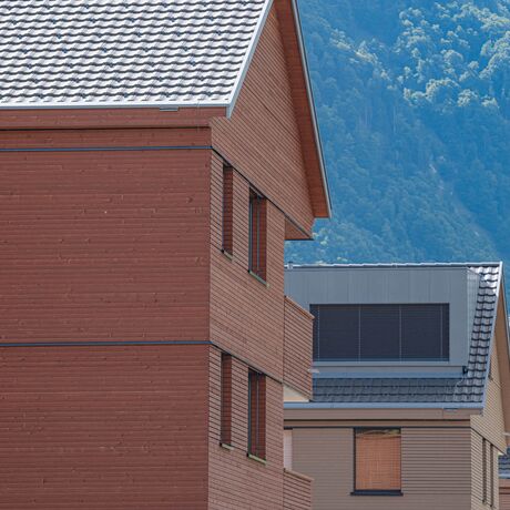 Gebr. Eisenring AG, 4-0201, Fassade, nord. Fichte, Rhomboid Nut + Kamm 20/75, strukturfein, Lignovit Lasur