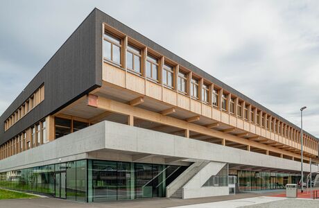 Gebr. Eisenring AG, 5-0287, Fassade, nord. Fichte, Fassadenlatten 21/118, sägeroh, Lignovit Lasur Terra 5341, Farbton 04/5 Darth Vader