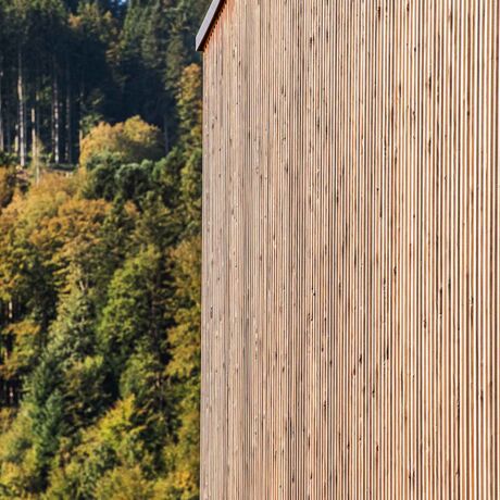Gebr. Eisenring AG, 5-0204, Fassade, Weisstanne, Lammellen 40/140, gehobelt, unbehandelt, 1-jährig