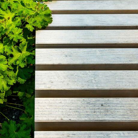 Gebr. Eisenring AG, 6-0046, Terrasse, Accoya, gehobelt, Natur