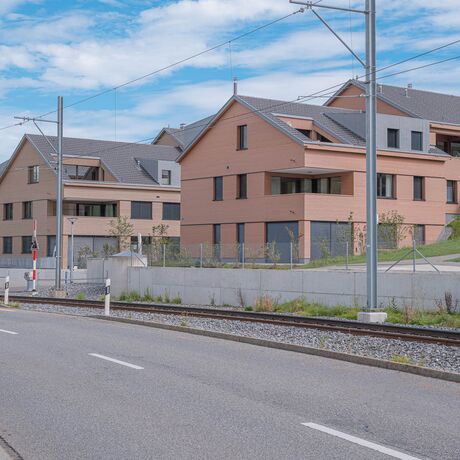 Gebr. Eisenring AG, 4-0201, Fassade, nord. Fichte, Rhomboid Nut + Kamm 20/75, strukturfein, Lignovit Lasur