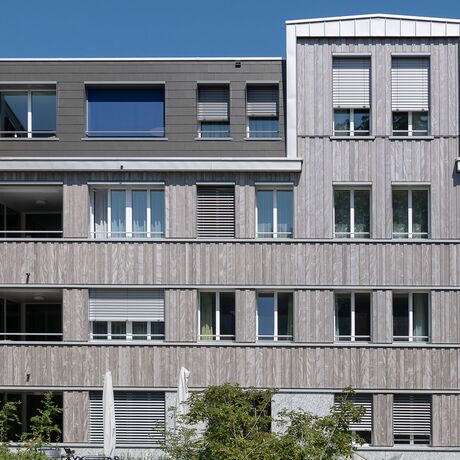 Gebr. Eisenring AG, 5-0070, Fassade, Weisstanne, hoch/tief, strukturfein, Perlmutt 20