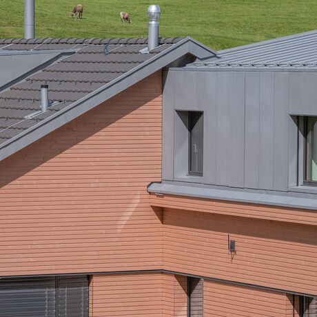 Gebr. Eisenring AG, 4-0201, Fassade, nord. Fichte, Rhomboid Nut + Kamm 20/75, strukturfein, Lignovit Lasur