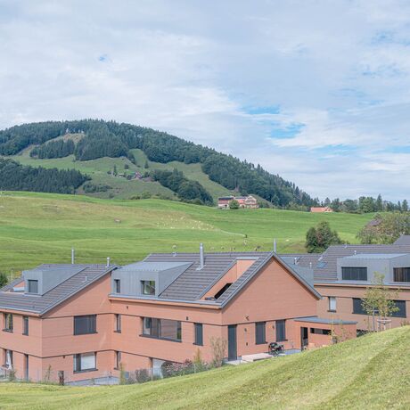 Gebr. Eisenring AG, 4-0201, Fassade, nord. Fichte, Rhomboid Nut + Kamm 20/75, strukturfein, Lignovit Lasur