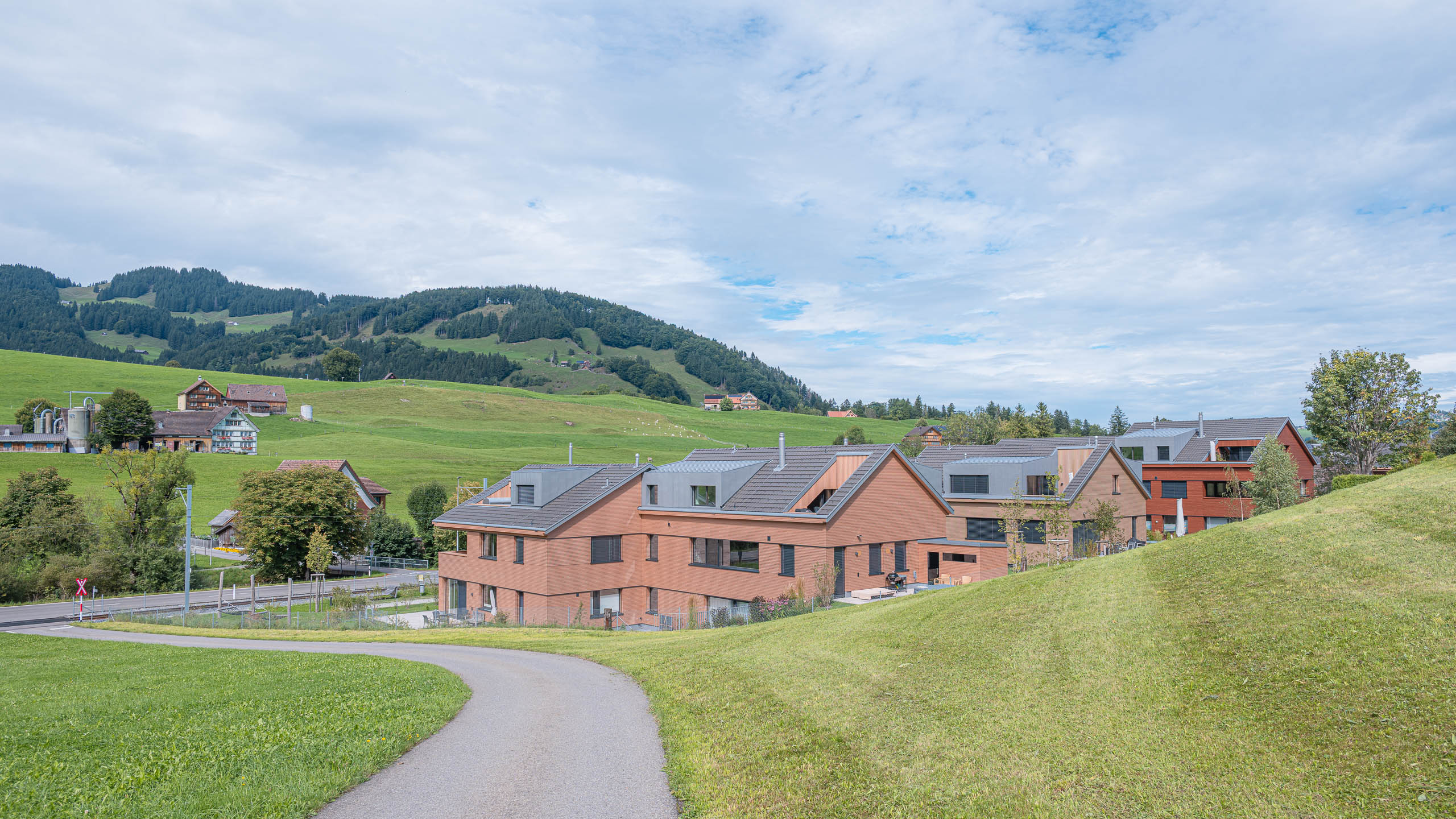 Gebr. Eisenring AG, 4-0201, Fassade, nord. Fichte, Rhomboid Nut + Kamm 20/75, strukturfein, Lignovit Lasur